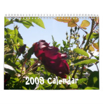 2009 Calendar