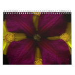 2009 Calendar