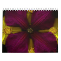 2009 Calendar by relmason 2009 Calendar
