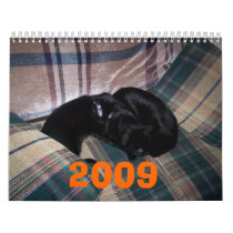 2009 calendar #2