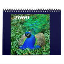 2009 Calendar - Customized