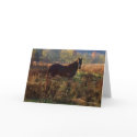 2009 Calendar-Leipers Fork Tennessee cards