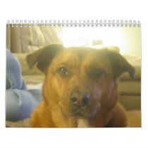 2009 Calender calendars