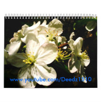 2009 calender calendars