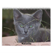 2009 Cat Calendar