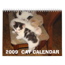 2009 CAT CALENDAR by MAPASUE 2009 CAT CALENDAR