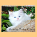 2009 Cozy Kittens Calendar - Customized