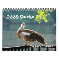 2009 Ducks Wall Calendar