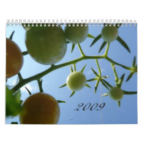 2009 Floral Calendar by mbella77 2009 Floral Calendar