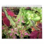 2009 Flower Calendar