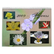 2009 - Flowers Wall Calendar