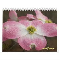 2009 Flowers calendars