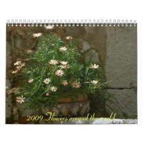 2009 Flowers calendars