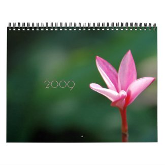 2009 Garden Calendar calendar