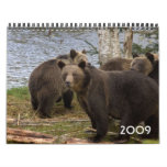 2009 Grizzly bear Calendar - Customized