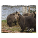 2009 Grizzly bear Calendar - Customized