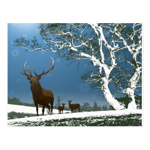 2009 Holiday pos ard Post Card