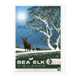 2009 Holiday pos ard Postcard