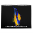 2009 InnerWorld Images Calendar