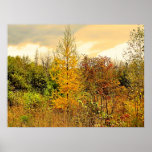 2009_Maine_Autumn_017 Posters