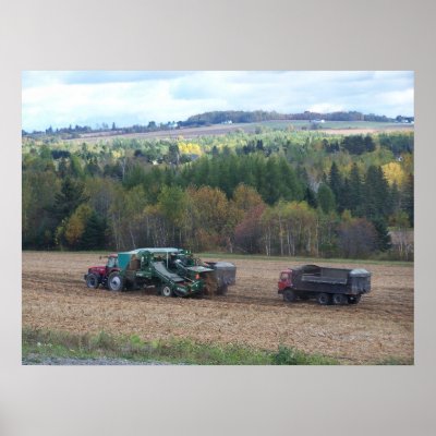 2009_Maine_Autumn_169 Print by nmpics