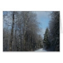 2009_Maine_Winter_18 cards by nmpics 2009_Maine_Winter_18 cards