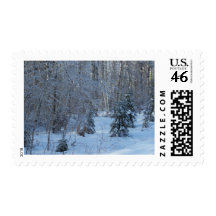 2009_Maine_Winter_21 Postage Stamp