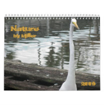 2009 Nature calendars by miller9289 2009 Nature calendars