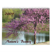 2009 Nature's  Beauty Calendar