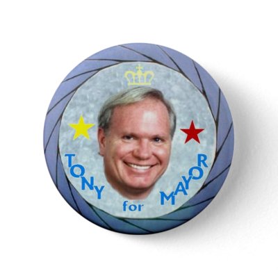 2009 NY Mayor Tony Avella Pin by elfyboy