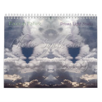 2009 Photo Synthesis Calendar