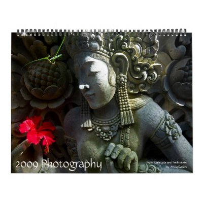 2009 Photography Calendar by andyradin