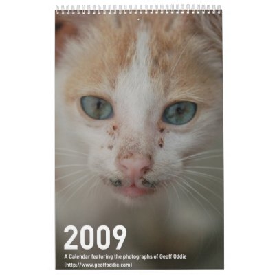 2009 Photography calender Wall Calendar by dibsthecat