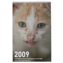 2009 Photography calender Wall Calendar
