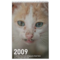 2009 Photography calender calendars