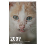 2009 Photography calender Wall Calendar