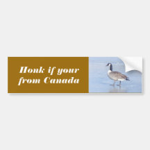 2009 photos 191, Honk if your from Canada Bumper Sticker