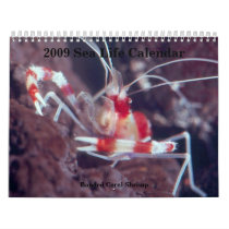 2009 Sea Life Calendar,... by ff1597 2009 Sea Life Calendar,...