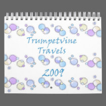 2009 Sketch Calendar calendars