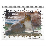 2009 Squirrels Calendar