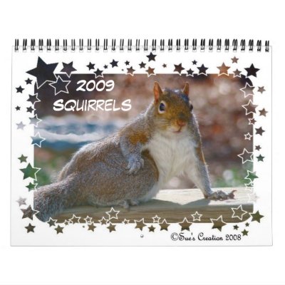 2009 Squirrels Calendar by birdersue