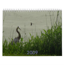 2009 waterfowl calendar