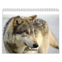 2009 Wolves Calendar by Tberling 2009 Wolves Calendar