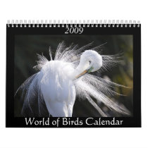 2009 World of Birds Calendar by cardinal09 2009 World of Birds Calendar