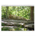 2009 Zoo Calendar by SuanSilverTree 2009 Zoo Calendar
