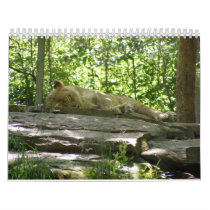 2009 Zoo Calendar