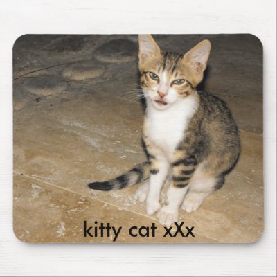 2010_1001Turkey0094, kitty cat xXx Mousemats by ellie8iscool