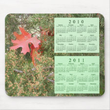 2010 - 2011 Calendar mousepad