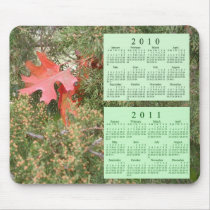 2010 - 2011 Calendar mousepads