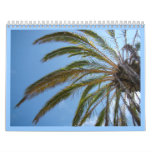 2010/2011 Florida Photo Calendar